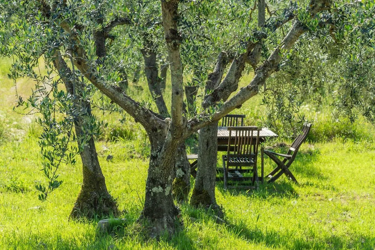 La Rimbecca Greve In Chianti Country Apartments & Rooms Hotel